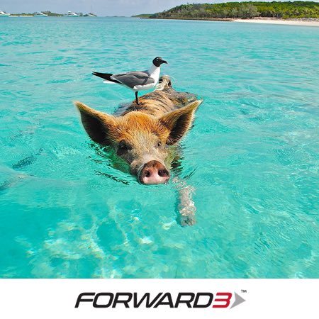 forward3llc's tweet photo. Is your brand lost at sea and in need of a lifeline? We can help. #Forward3 #branding #businessconsulting https://t.co/QOL5XKaXqH