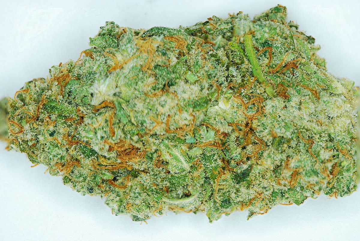 StrainGeniusLab's tweet image. Check out the WEDDING CAKE  we tested for Green Memory THC: 21.08% CBD: 0.05% CBN: 0.09% #MMJ