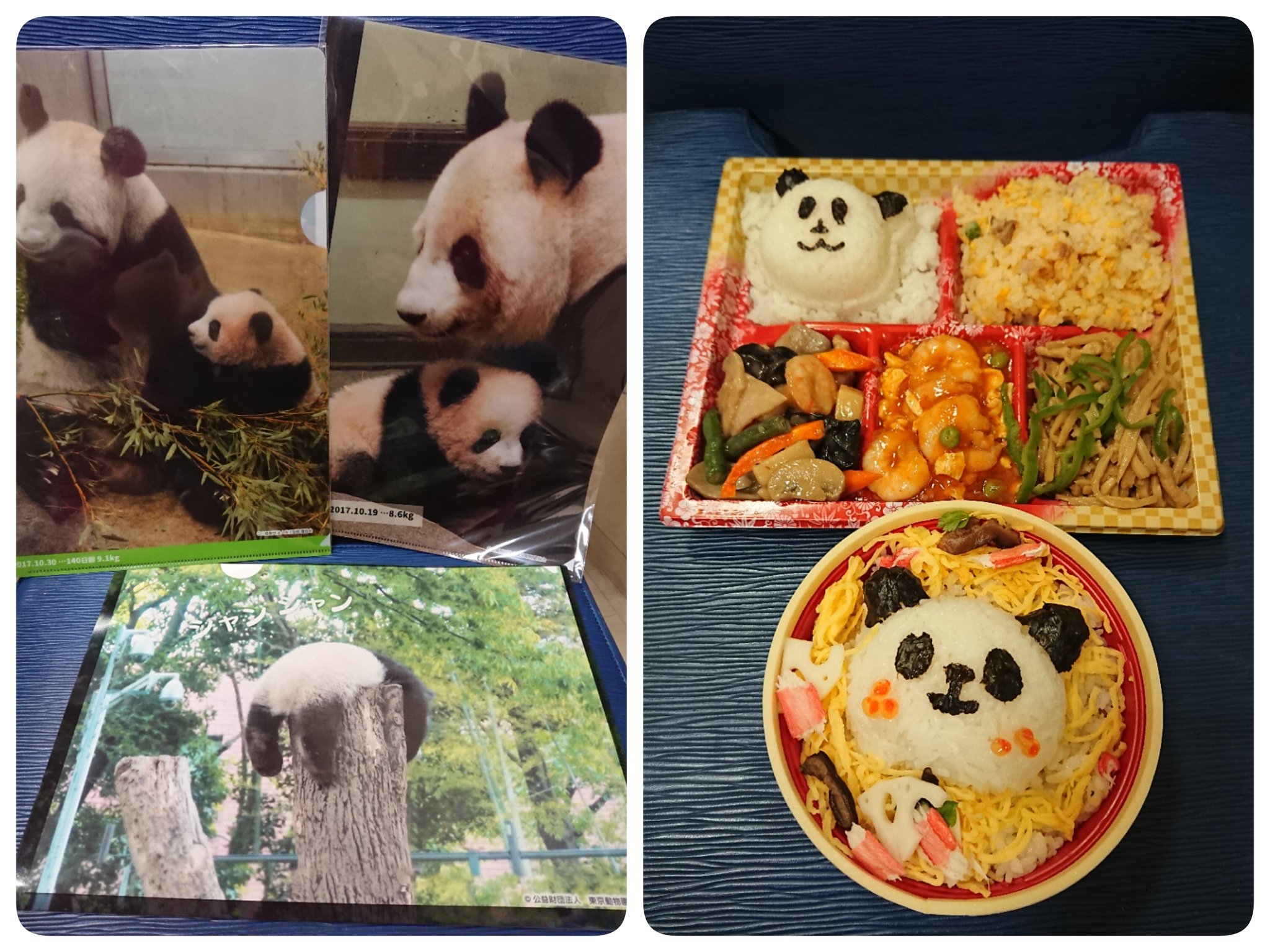 Pinkypanda 帰りに松坂屋に寄って パンダちゃん弁当とクリアファイルを購入して さらにクリアファイルゲットしてきました ヽ ﾉ シャンシャン パンダ 松坂屋上野店 上野案内所 パンダウィーク 赤坂飯店 札幌かに家 T Co 7vgf8pkwy6