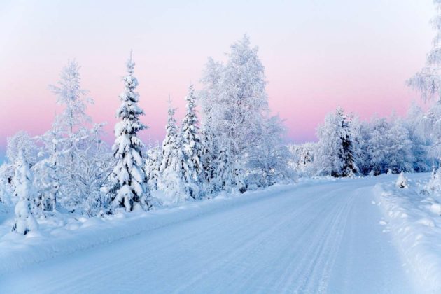 TryThisDotCo's tweet photo. Dream of a winter wonderland - Lapland
#trythis #traveltips #traveltipsDR #TravelTipsForFree #TravelTipsLeLuxace #TravelTipsandTricks #traveltipster #travelgram #thegoodlife #travelfriendly #traveller #traveling #TravelTuesday #instatravel #travelblogging
https://t.co/bpnqBxa8Zl https://t.co/oPYrVRbEas