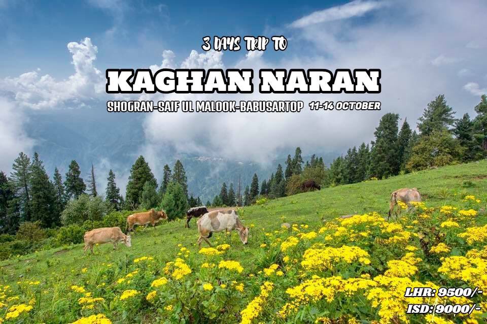 PakNatureExp's tweet photo. Call us @ 0321-7802020 For All Details! https://t.co/CgiZKBtGId