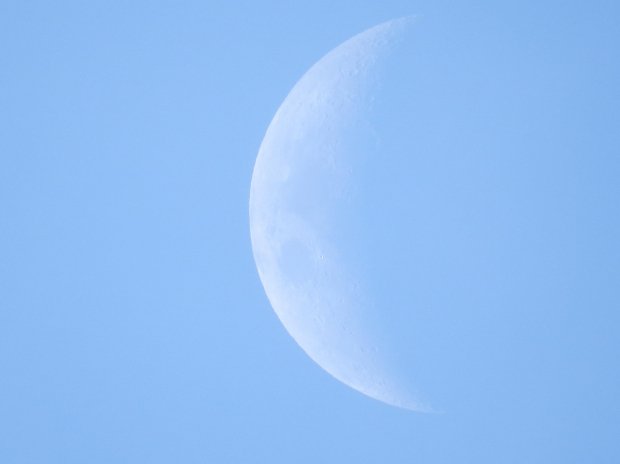 𝓖𝓞𝓞𝓓 𝓜𝓞𝓡𝓝𝓘𝓝𝓖 𝓕𝓡𝓞𝓜 𝓜𝓤𝓢𝓚𝓘𝓔𝓗𝓤𝓑

What to wear on Mars? Got any ideas? Summer stuff? Winter wear?

Muskiehub.com