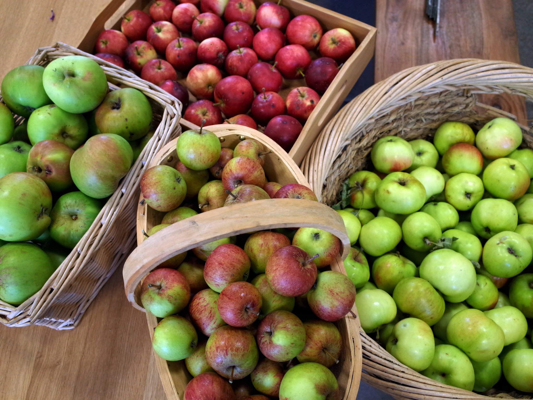 RBGE on Twitter "Celebrate apples in all their glory this Saturday for