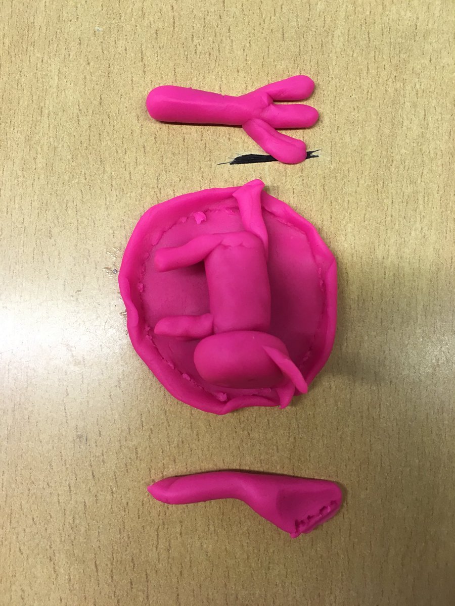 LSST History tweet media