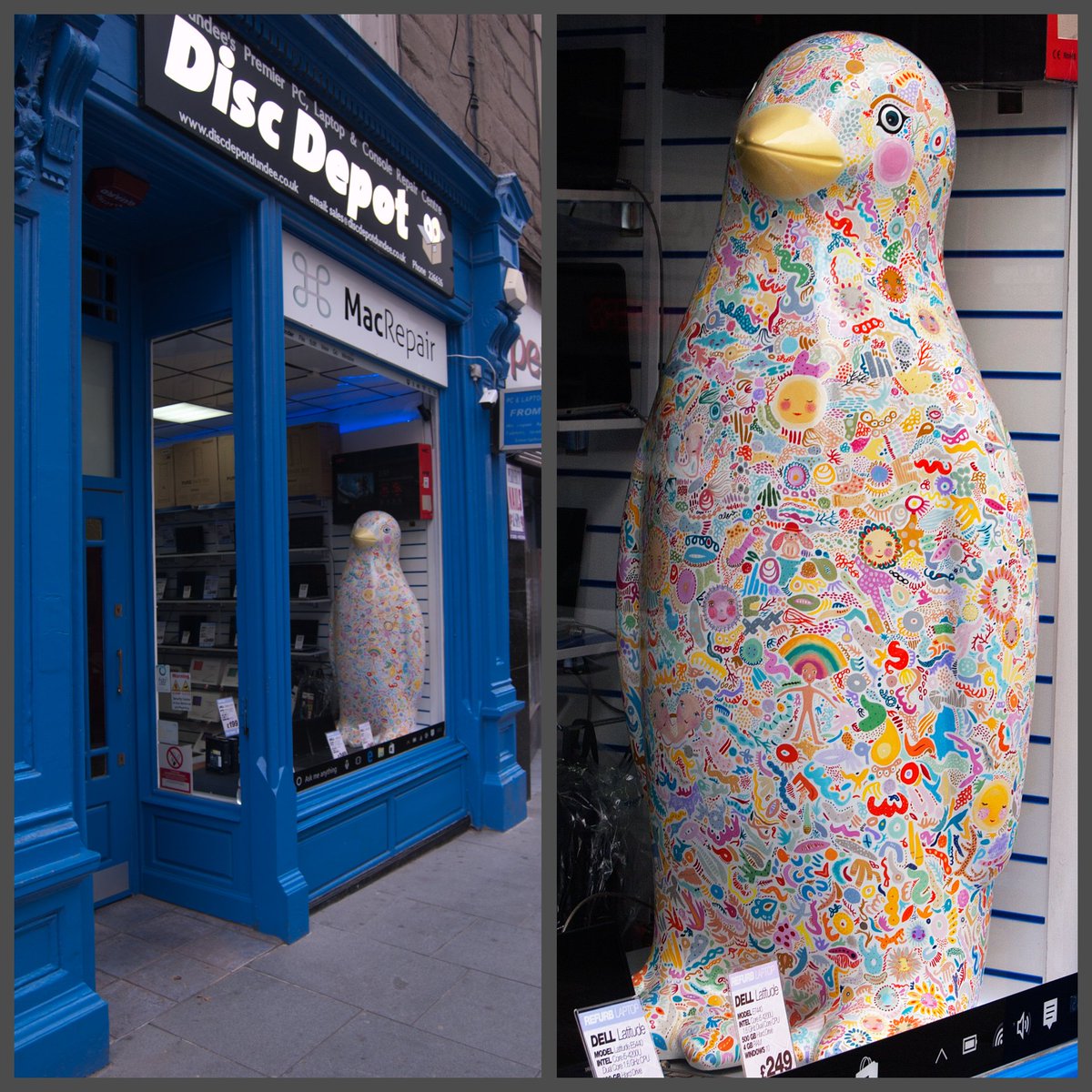 diskdepot's tweet photo. The penguin has landed! The #KororaMantic penguin we won in the #MaggiesCentre auction is now in our Dundee shop, and you can pop in and take a look at the beautiful design and artwork that adorns it!    #diskdepot #Dundee https://t.co/gCgXfizzto