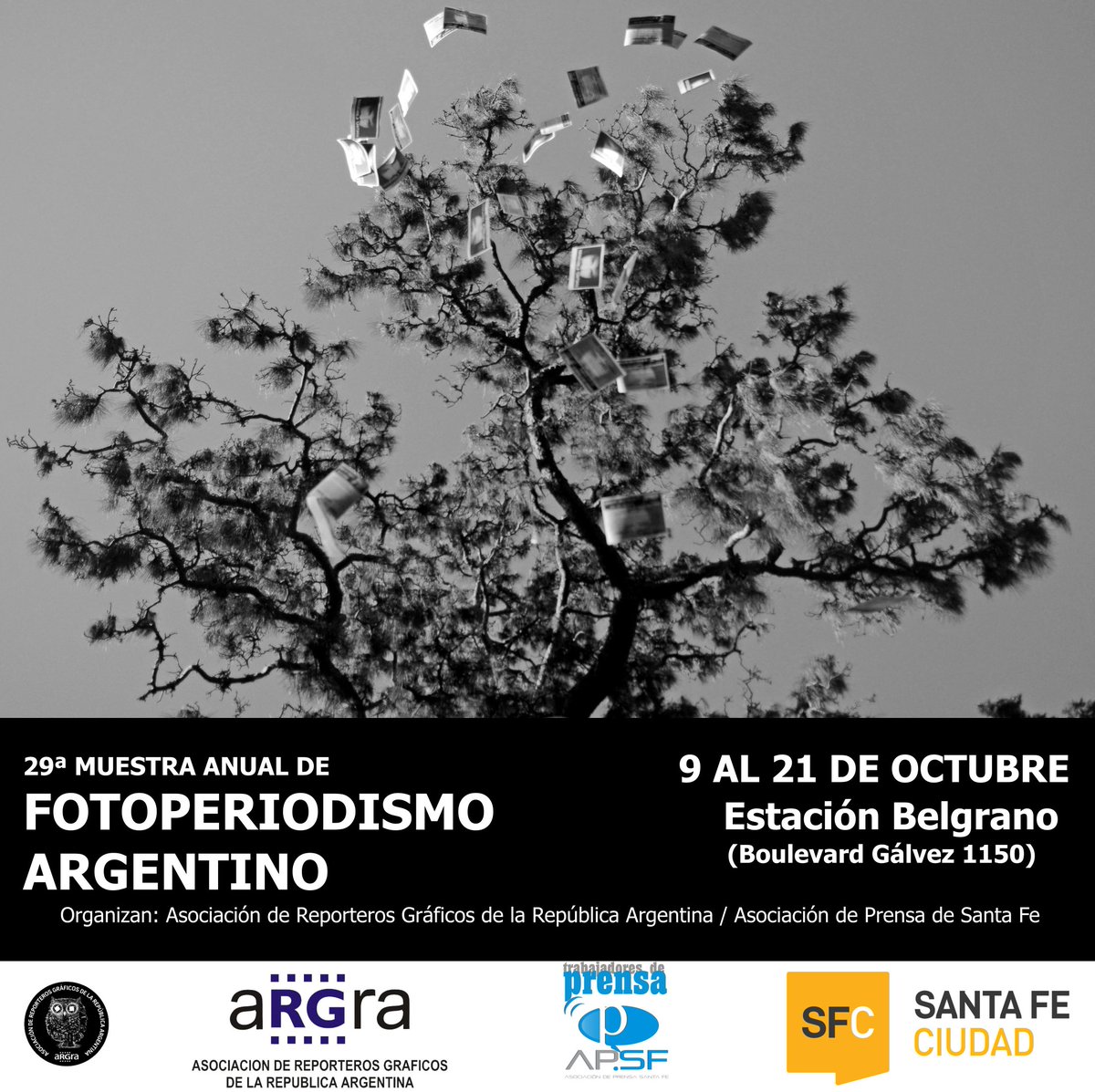 Asociación de Prensa tweet media