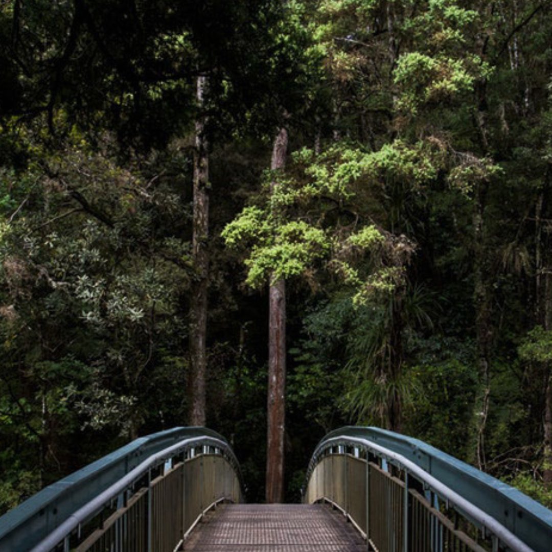 GregoryJantzPhD's tweet image. Are you feeling depressed? Consider using this evaluation tool to help identify contributing conditions in your life. ow.ly/OmT430lZWpB #understandingdepression #mentalhealthmatters