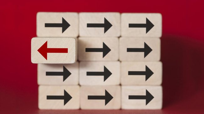 Bonnie_Hagemann's tweet image. As the impact of technology continues to grow, organizations of all types and sizes will need their technology leaders to step into CEO seats. Are you a tech leader aspiring to move into a CEO role? I can help prepare you. Send me a message and let's get started!