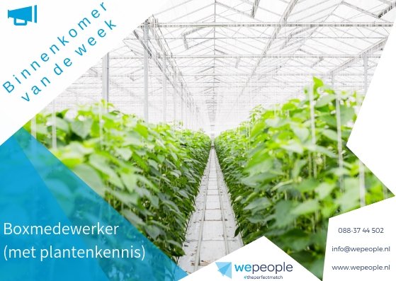 WePeople9's tweet photo. Vacature! Boxmedewerker (met plantenkennis) bij Zyon Group
Ben je op zoek naar een verantwoordelijke en veelzijdige logistieke functie? Heb je aantoonbare affiniteit met de bloemen- en plantensector en agribusiness? -->  https://t.co/TqXdFephe3 https://t.co/wDjTc3v6pu