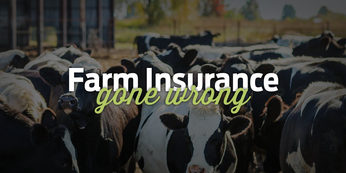 ExcaliburGroup's tweet image. Does your #FarmInsurance broker know their stuff? If they haven’t stressed Co-Insurance, then the payout on your old barn built might not be anywhere near enough to rebuild. To avoid being blindsided check this out: excaliburinsurance.ca/the-best-farm-… #WorldFarmAnimalsDay #CoInsurance
