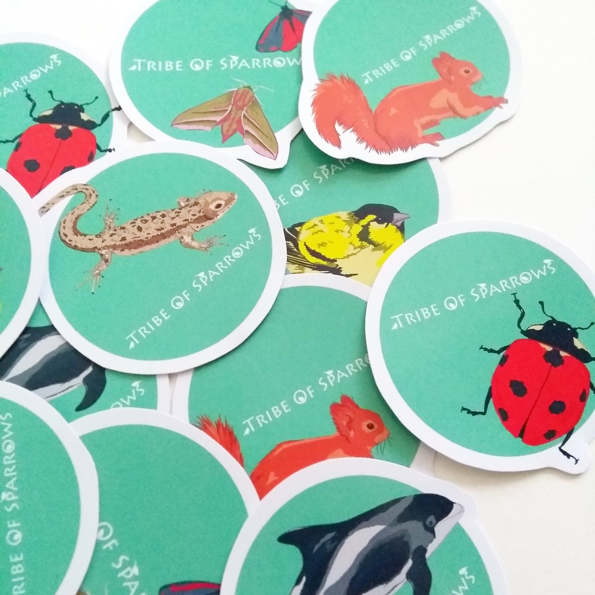 TribeOfSparrows's tweet photo. New special stickers to go in with orders! ^.^
#etsy #handmade https://t.co/UbZc3iXsnW