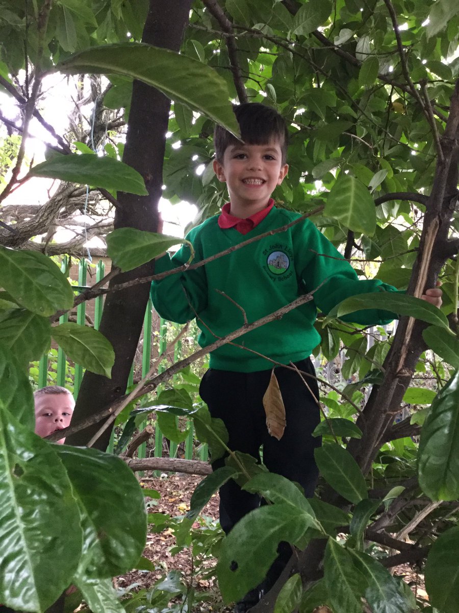 SJLCARDIFF's tweet photo. Honing our tree climbing skills in Forest School today! #treeplay #forestschool #forestgamesafterschoolclub https://t.co/yms0V4bimo