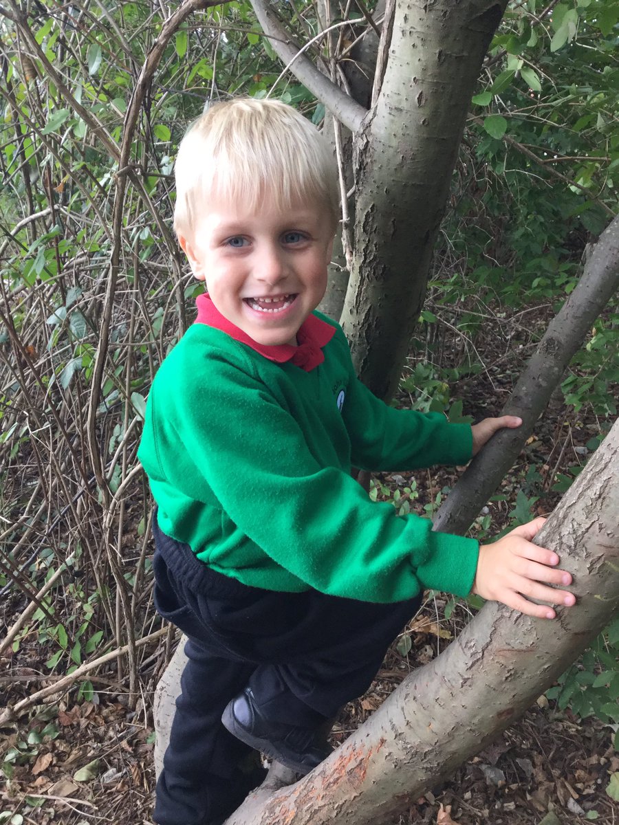 SJLCARDIFF's tweet photo. Honing our tree climbing skills in Forest School today! #treeplay #forestschool #forestgamesafterschoolclub https://t.co/yms0V4bimo