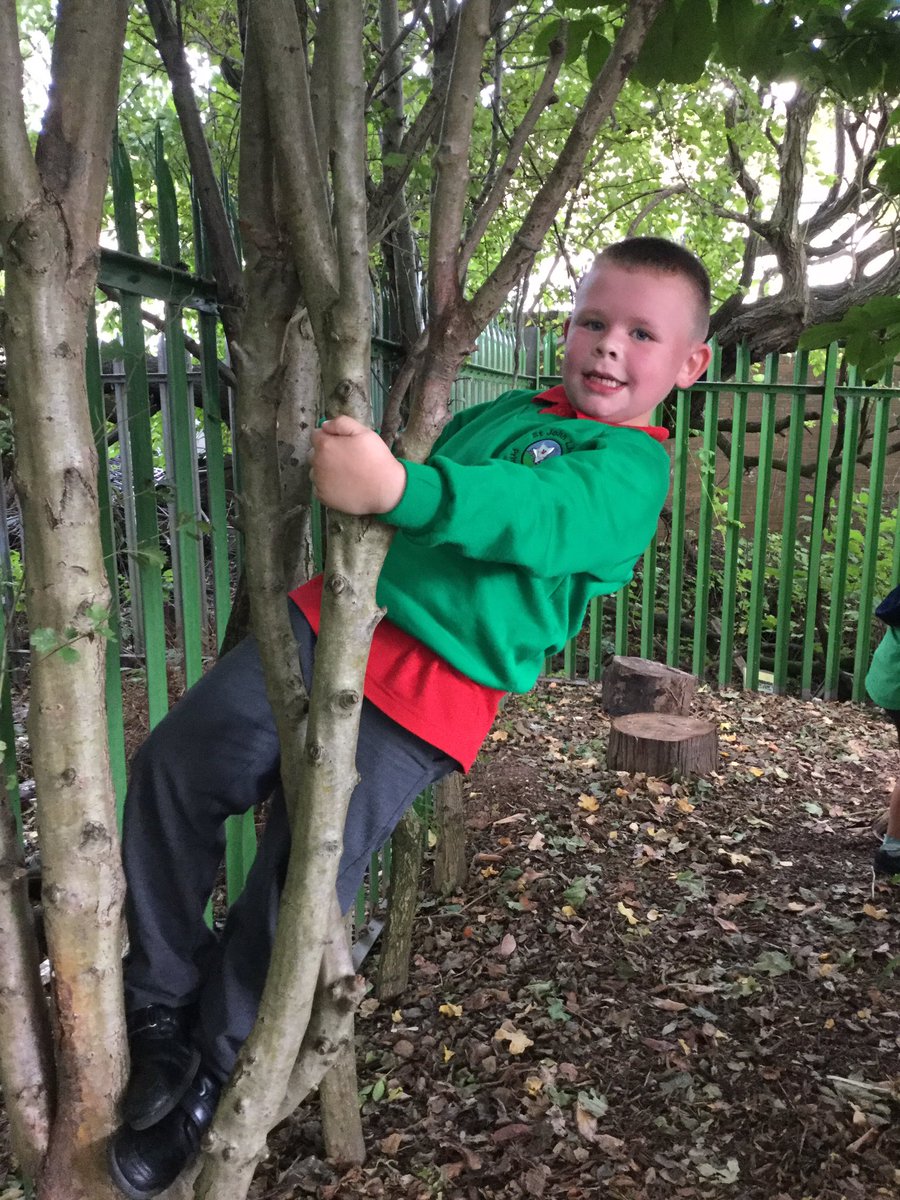 SJLCARDIFF's tweet photo. Honing our tree climbing skills in Forest School today! #treeplay #forestschool #forestgamesafterschoolclub https://t.co/yms0V4bimo