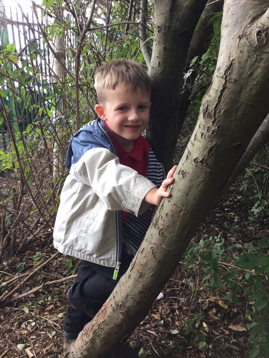 SJLCARDIFF's tweet photo. Honing our tree climbing skills in Forest School today! #treeplay #forestschool #forestgamesafterschoolclub https://t.co/yms0V4bimo