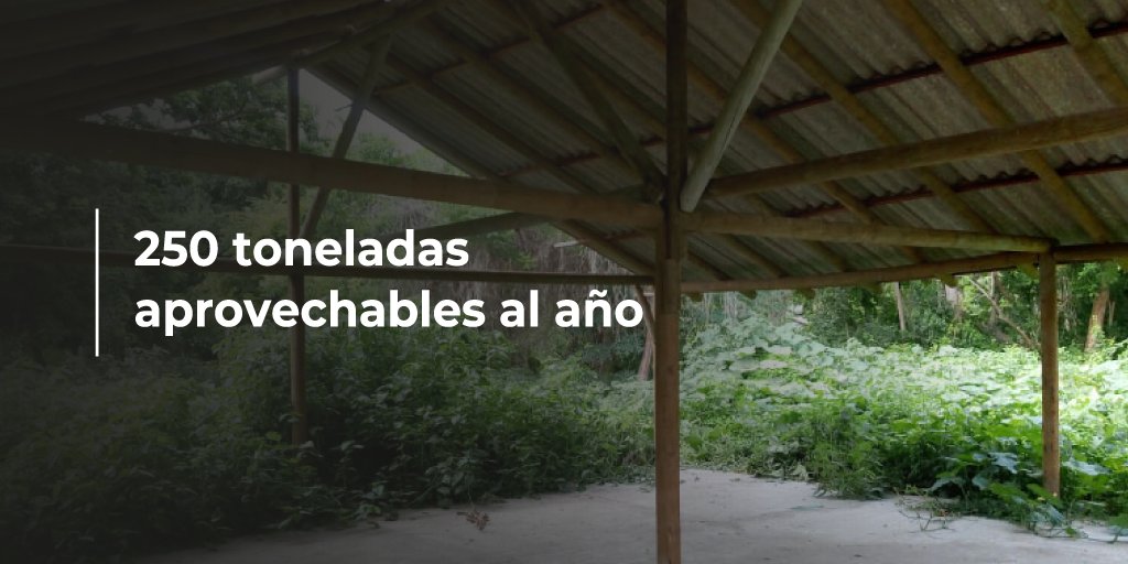 Fundación Isla Unika tweet media