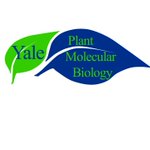 Photo by Plant Molecular Bio (@YalePMB)