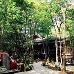 ツイートに含まれる画像