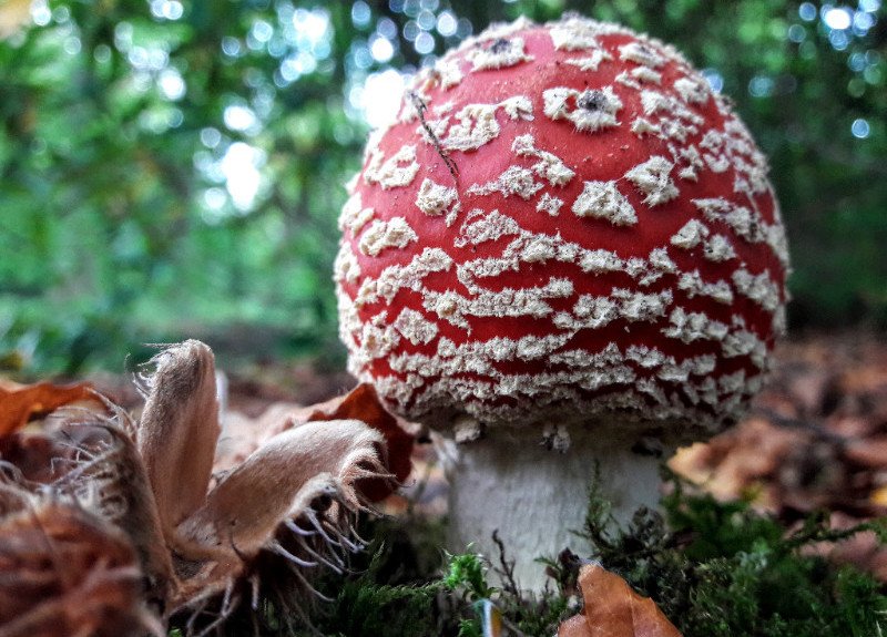 NP Zuid-Kennemerland tweet media