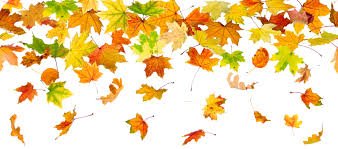 UnityofLivonia's tweet image. Wow! So Much Happening in October conta.cc/2Q5AyYq