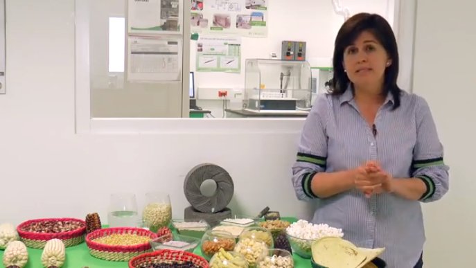 CIMMYT researcher Natalia Palacios works to develop #maize with higher nutritional content. Find out more by watching this short One-Minute Science video. 

bit.ly/2RgCbni #nutrition #maiz #corn #hiddenhunger #biofortification <a href="/HarvestPlus/">HarvestPlus</a> <a href="/CGIAR/">CGIAR</a> #CGIARMaize <a href="/nprmaize/">Natalia Palacios</a>
