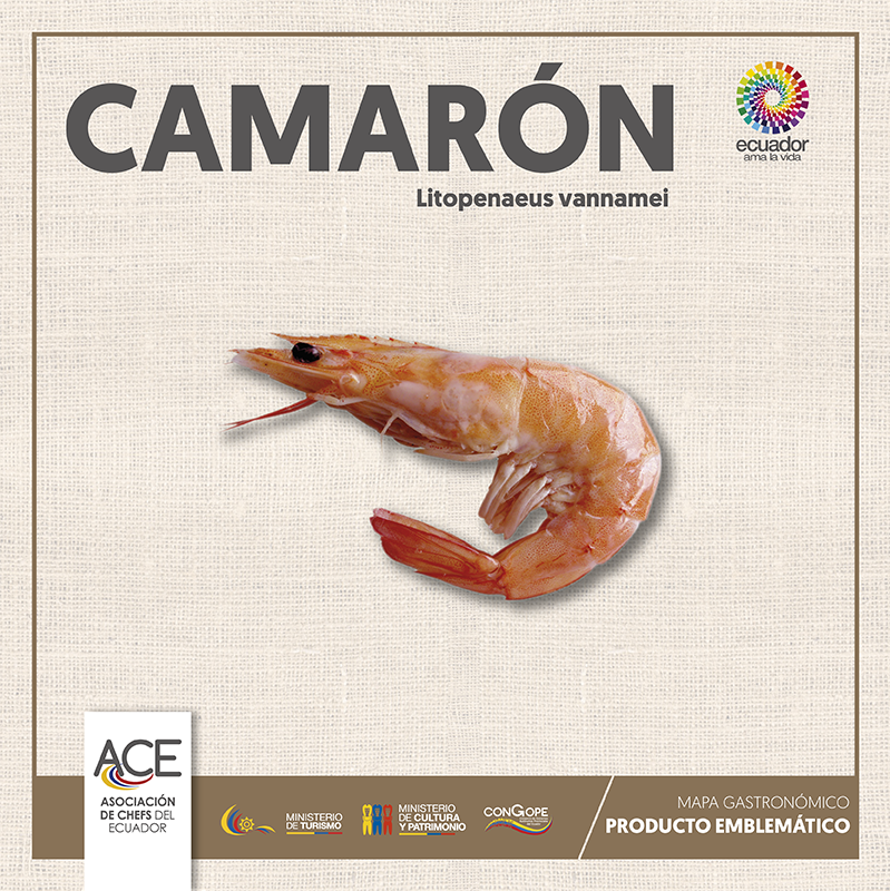 Registros confirman que el camarón “patiblanco” fue parte de la cultura Valdivia 3.800 a.C...

Si quieres conocer más sobre este producto emblemático sigue el siguiente link 👉 bit.ly/2y30A72
#ACE #Camarón #Shrimp #tasteecuador #EcuadorAmaLaVida #Ecuador #FelizMartes