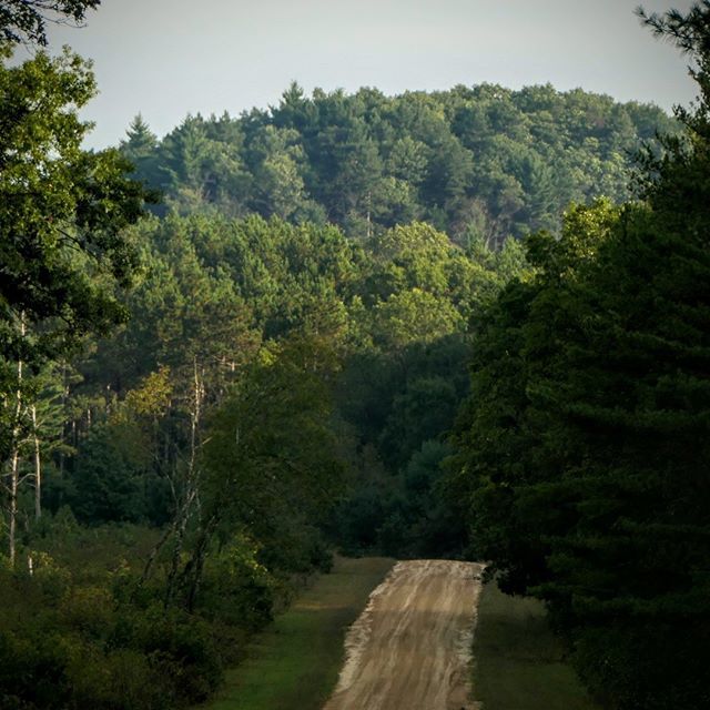 nurunco's tweet photo. 18 days until race day!

Runners' crews can enjoy the forest too! If you're headed to the Wildcat or the Shale Rd aid stations to see your runner take your time and enjoy the drive! You'll see this after you make the first right on North Settlement. Don'… https://t.co/b8C44KNEBM https://t.co/bdpXXGRsbq