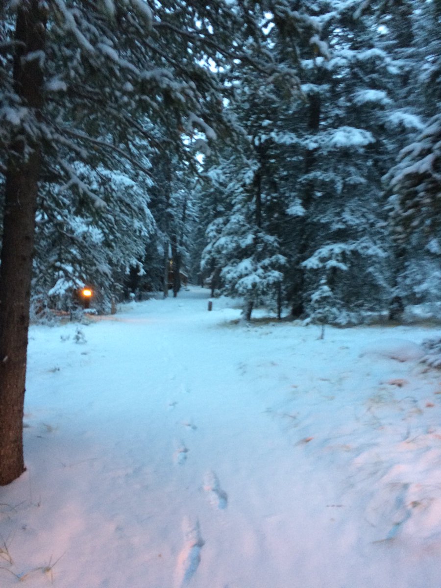 ca_parchewsky's tweet photo. Winter has arrived at #banffcentre #winter #missedfall #drivesafe https://t.co/kS1VwJFioR
