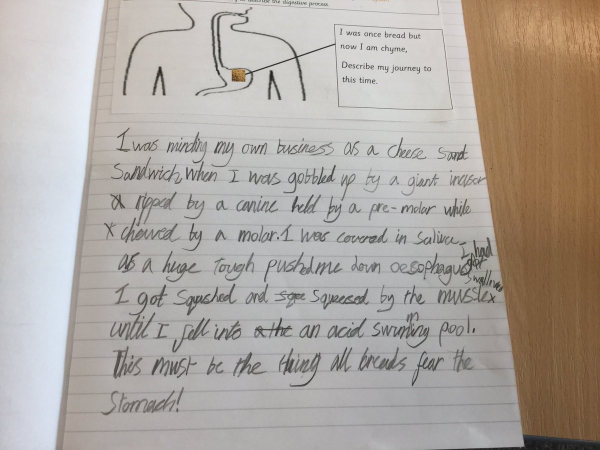 Hazel_Beecroft's tweet photo. I’m enjoying reading these fantastic, first person accounts of bread being eaten and making its way to the stomach. A great combination of imagination and scientific language in our science lesson!
M.M https://t.co/ruKD7xcyPB