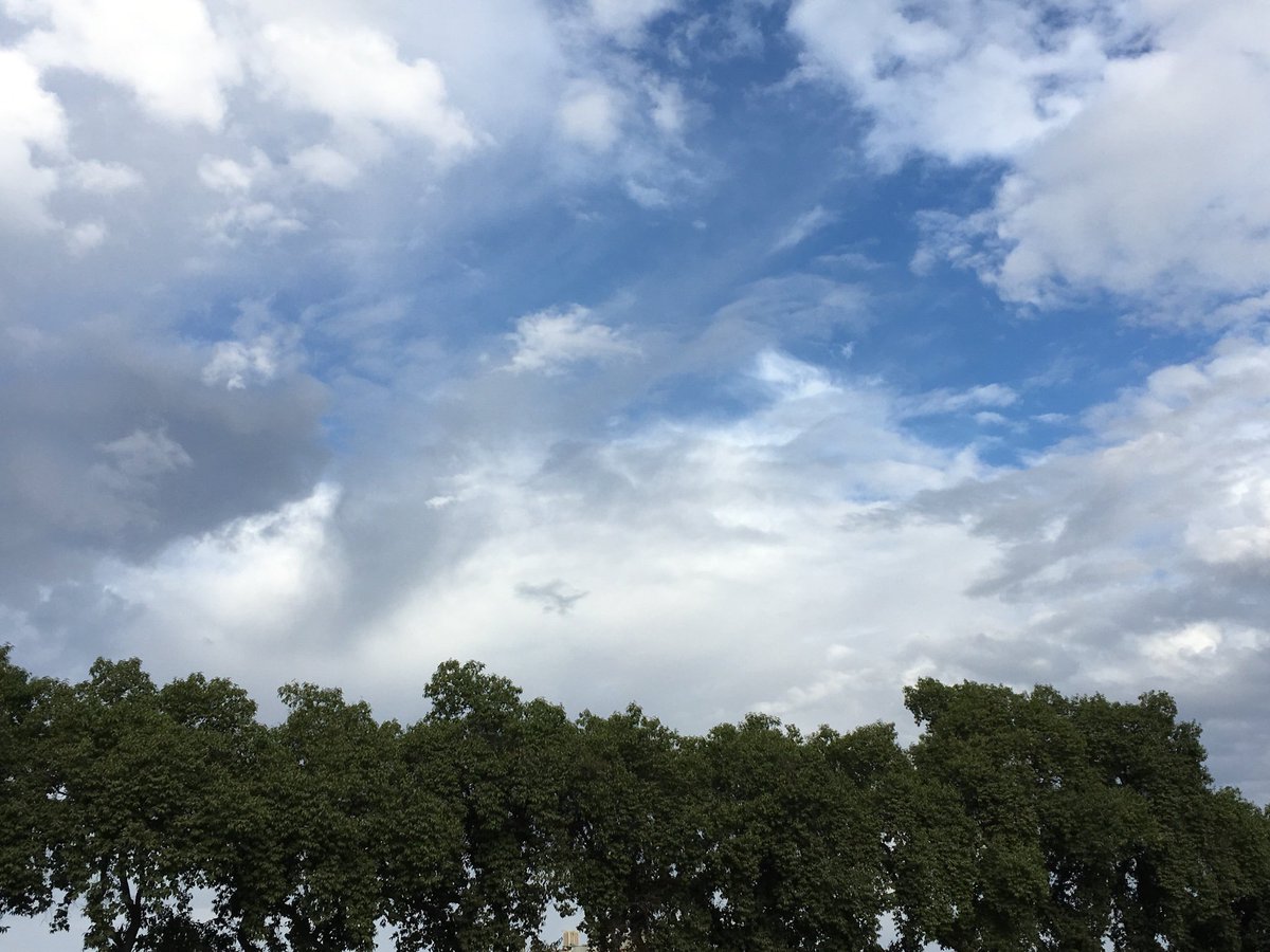 mrspooleyo's tweet image. Goooooood morning Visalia!! Are you ready for some computer science integration?? #CSforALL #BootstrapCS #CSDecoded #TulareCOE