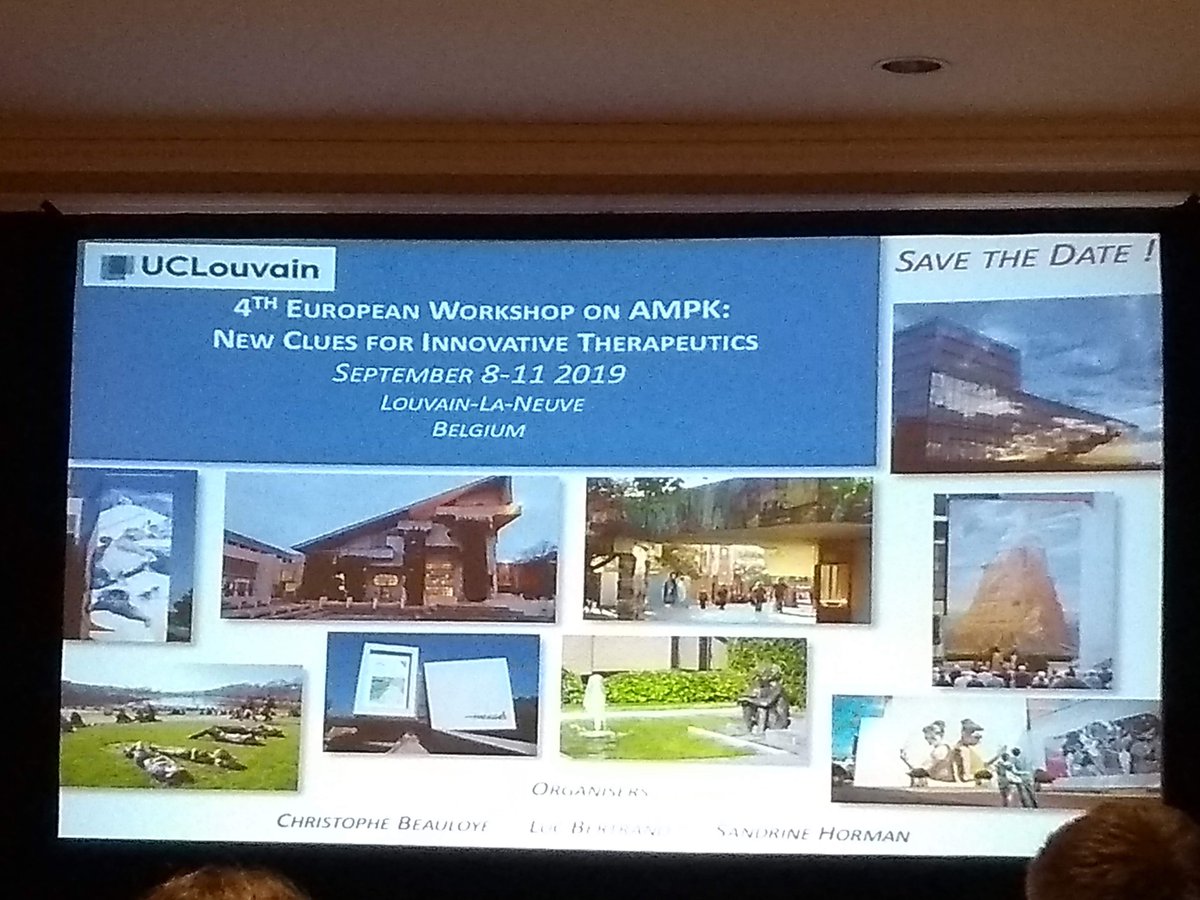 Ampk2017's tweet photo. Live from #AMPK meeting in Canada we got the announcemend of the next European AMPK workshop in 🇧🇪 #LouvainLaNeuve #AMPK2019 https://t.co/DLuoZqlocS