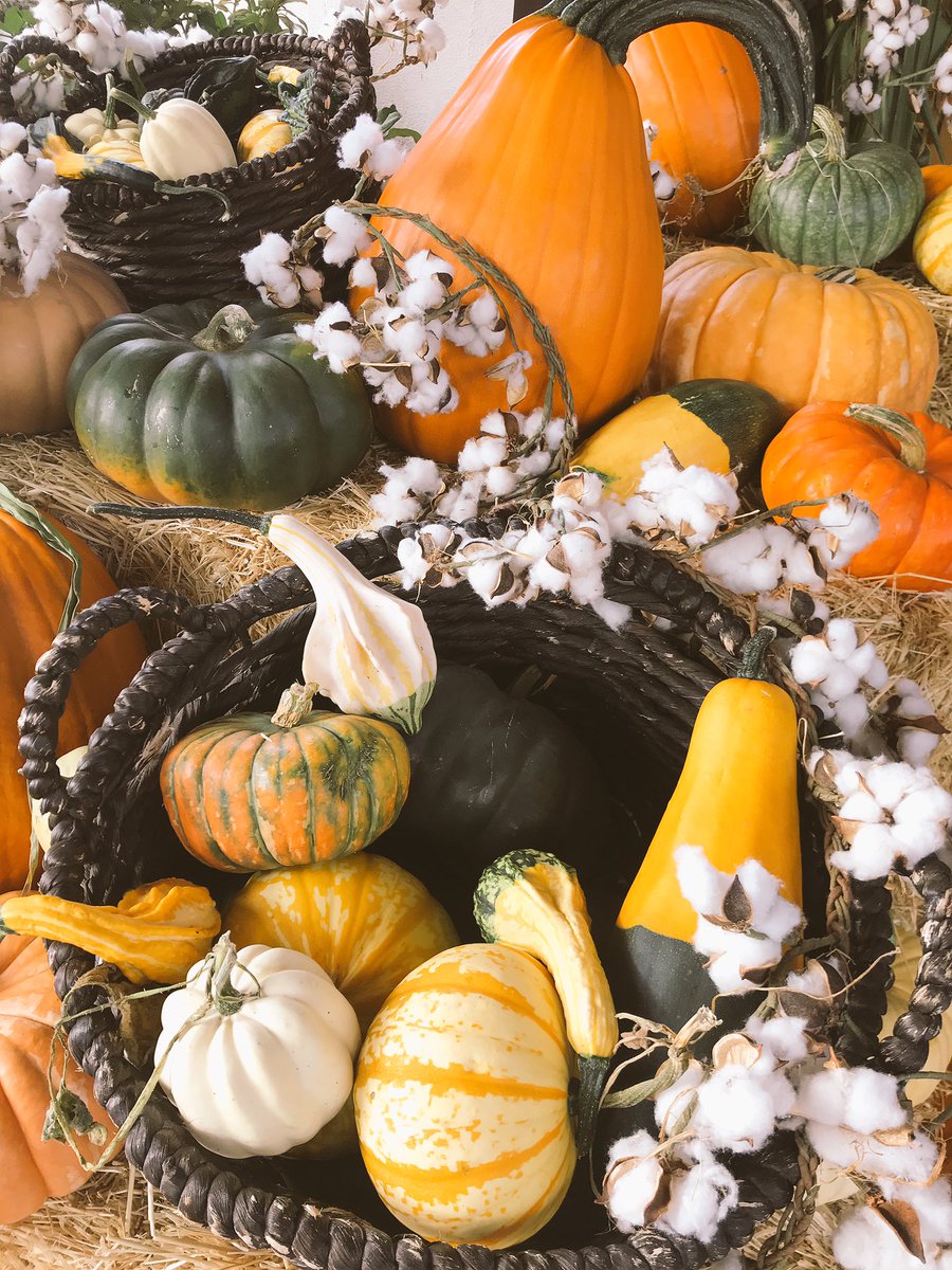 LosAltosGCC's tweet photo. Which comes first, the cold weather or the beautiful autumn display out front?! Either way, fall is here! 🍂🏈🍁🎃 https://t.co/AWpn05tQIO