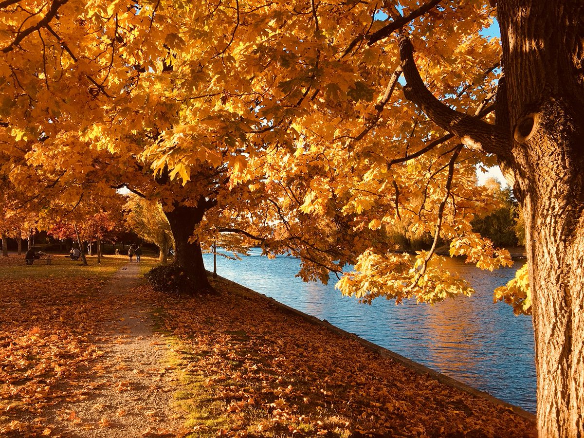 LiveHealthyNYCP's tweet photo. #Fall is a great time to get outside and #beactive ! Try riding a bike, going on a walk around the park, and explore a local farm or pumpkin patch. The colors of the season can be seen in the foods of fall, like pumpkin, apples, pears, and corn. Go #getmoving #healthyfall https://t.co/BYfzREUboE