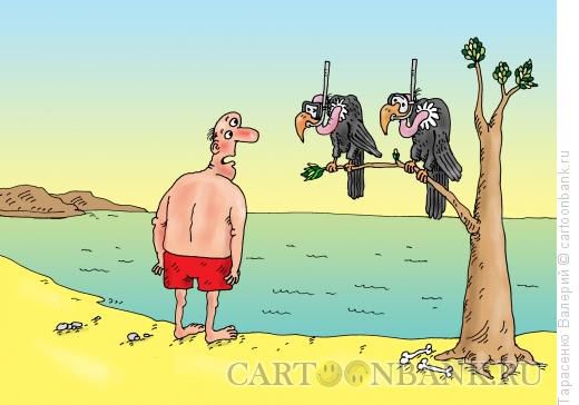 Карикатура Мёртвое море