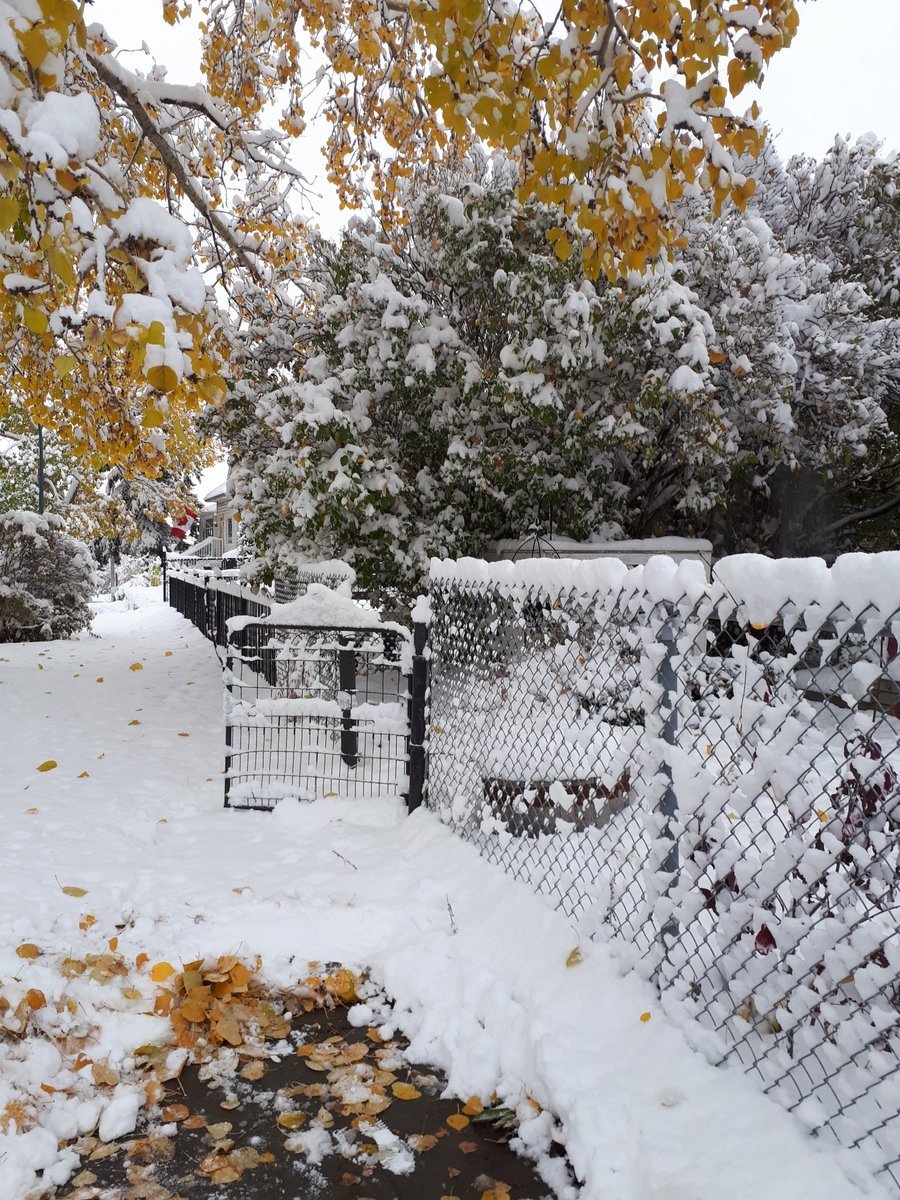 TangyLimeDance's tweet image. Neither wind, rain, sleet, or 3 feet of snow in October. Y'all get the job done. Thank you @FedExCanada and @HelloFreshCA! #BecauseWinter in #Snowtober.