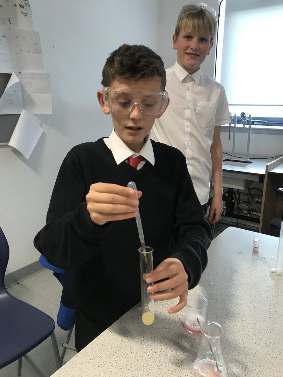 BiologyEa's tweet image. This practical smelt lovely! 🥝 S2 pupils successfully extracted DNA from kiwi fruit cells this afternoon 🥝 #labskills #practicalwork #fruitcells #dnaextraction #biology #cells #dna #inheritance #life #science