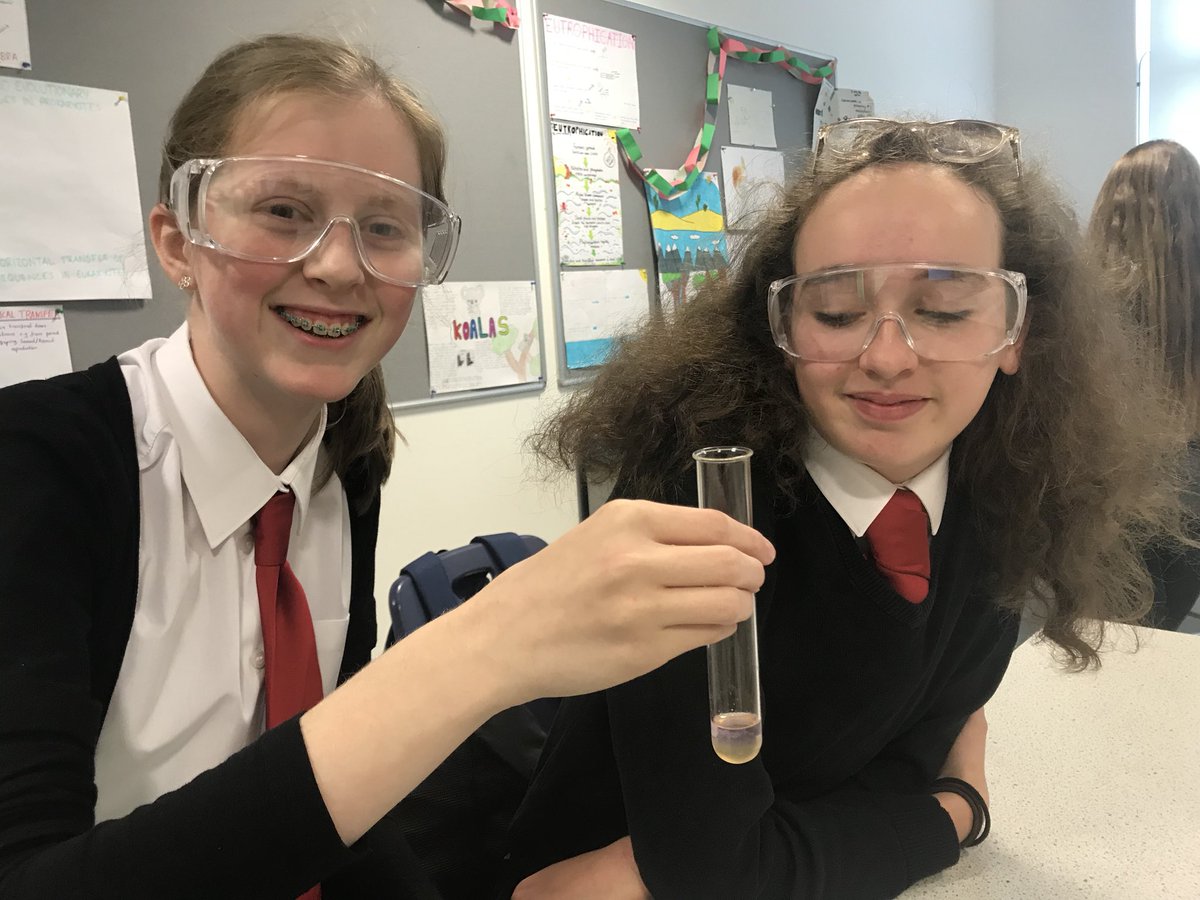 BiologyEa's tweet image. This practical smelt lovely! 🥝 S2 pupils successfully extracted DNA from kiwi fruit cells this afternoon 🥝 #labskills #practicalwork #fruitcells #dnaextraction #biology #cells #dna #inheritance #life #science