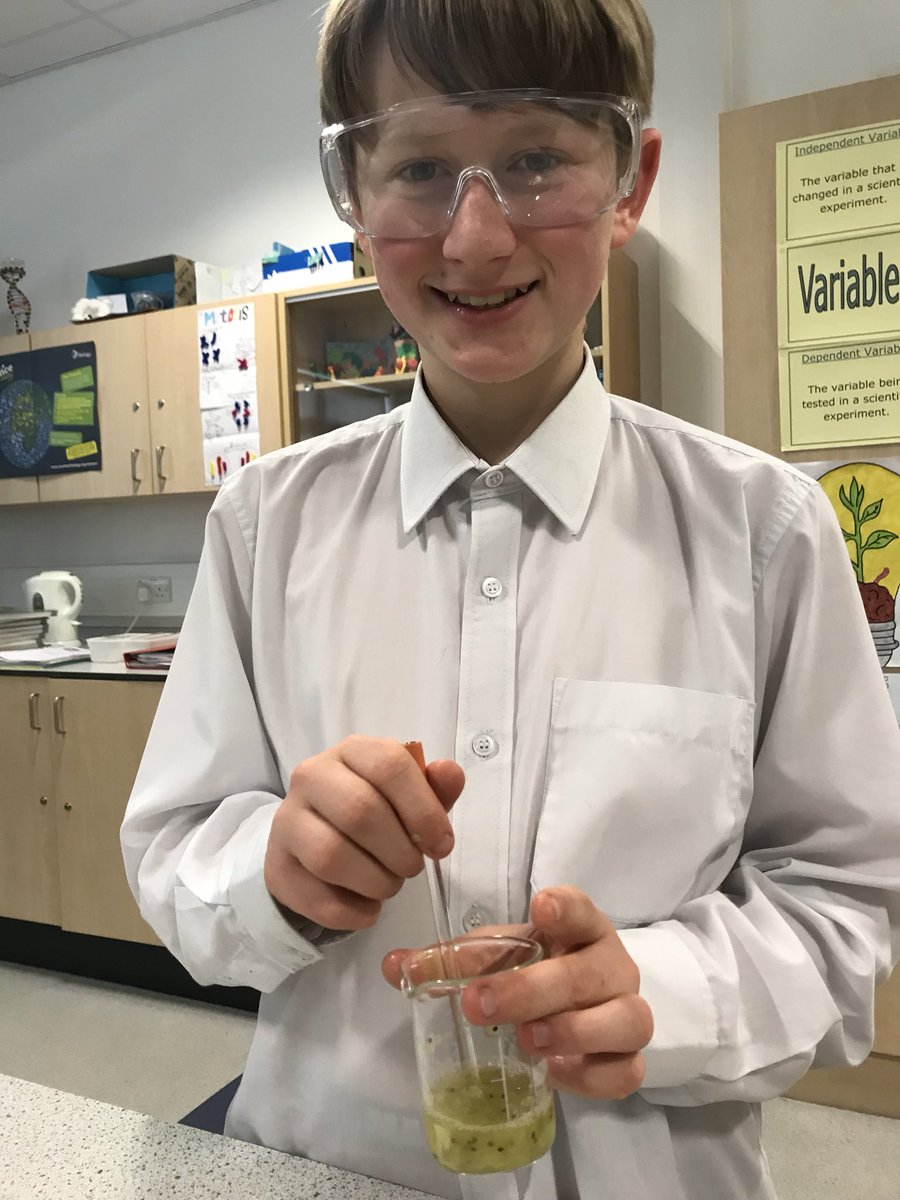 BiologyEa's tweet image. This practical smelt lovely! 🥝 S2 pupils successfully extracted DNA from kiwi fruit cells this afternoon 🥝 #labskills #practicalwork #fruitcells #dnaextraction #biology #cells #dna #inheritance #life #science