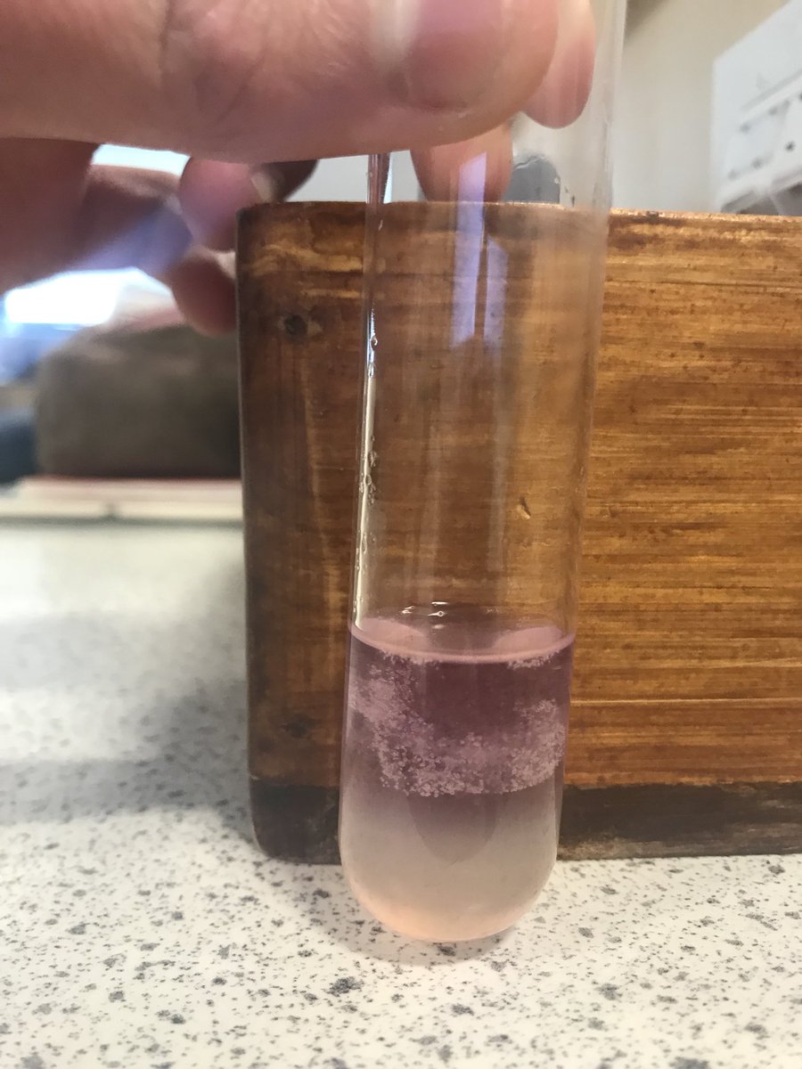 BiologyEa's tweet image. This practical smelt lovely! 🥝 S2 pupils successfully extracted DNA from kiwi fruit cells this afternoon 🥝 #labskills #practicalwork #fruitcells #dnaextraction #biology #cells #dna #inheritance #life #science