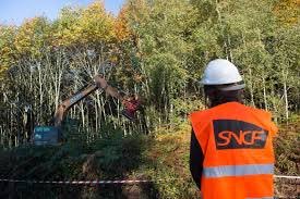 V_Lallemand's tweet photo. Que fait-on pour anticiper les conséquences de l’automne 🍂sur nos trains ?
Depuis un an,  grâce aux équipes de l’infrapole de Centre-Val de Loire, plus de 800 000 m2 ont été élagués ou débroussaillés entre Epernon et Chartres. https://t.co/i91IQyMFOx