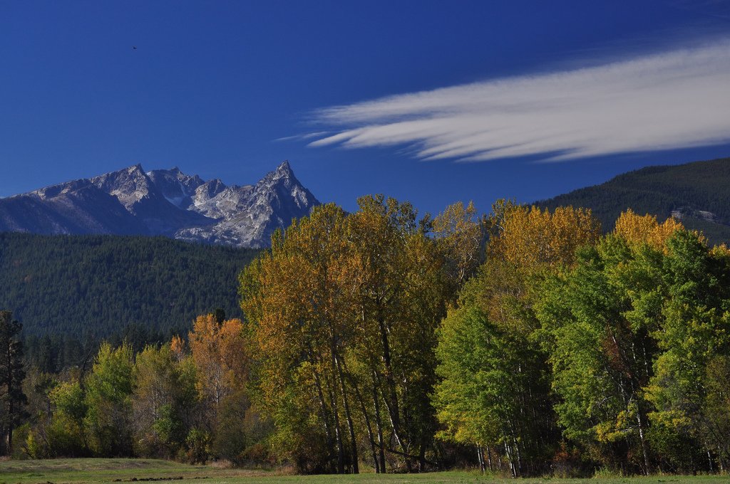 forestservice's tweet photo. Today marks the 50th anniversary of the Wild and Scenic Rivers Act and the National Trails Act! Celebrate these milestones by visiting your national forests and grasslands and exploring the amazing areas preserved by these two acts. #FindYourTrail #MakeYourSplash https://t.co/zfASanompj