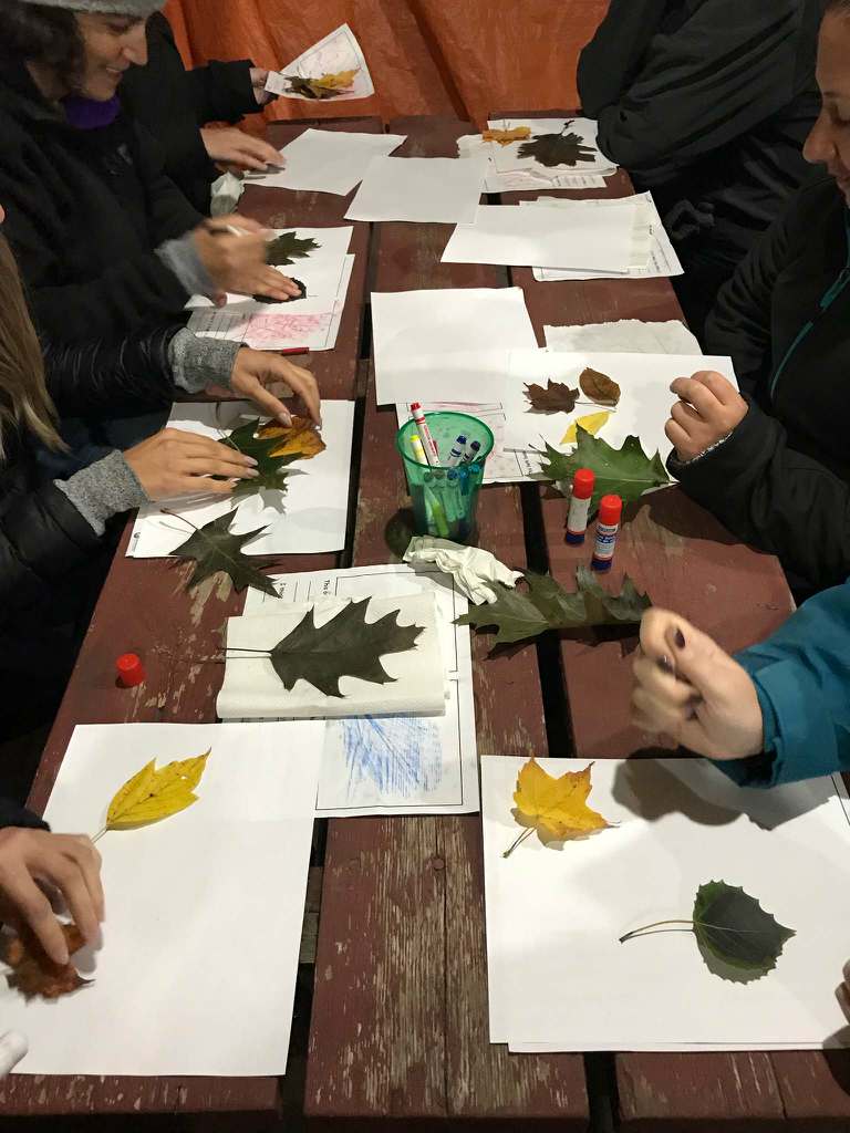 LSRCA's tweet photo. "TREEmendous Learning" at #SheppardsBush! We're exploring hands-on learning opportunities linked to curriculum for language, math, science & art using trees as the major theme! @YRDSBOutdoorEd @YRDSBEcoSchools @RichMacTeach @InspireOutside @caseydaleman #PLC #teachertraining https://t.co/pk3eh52I8W