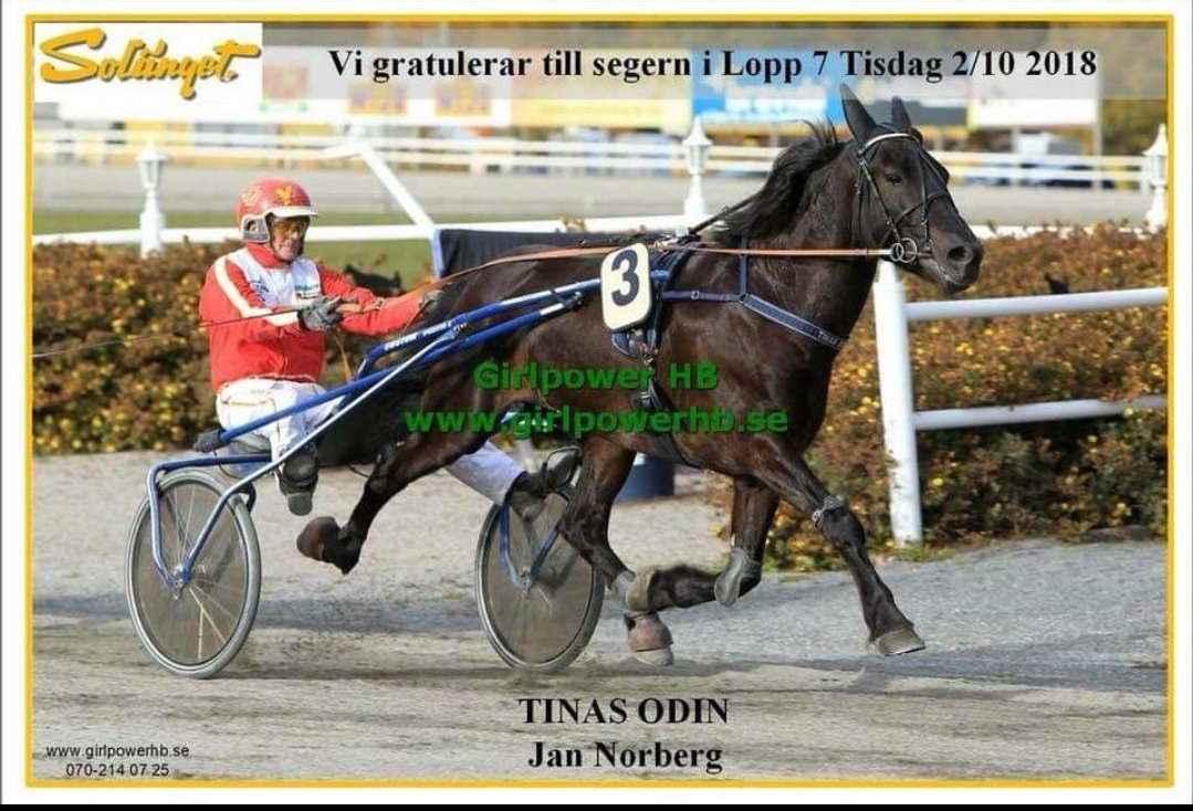 Team Tjomsland (@teamtjomsland1) on Twitter photo 