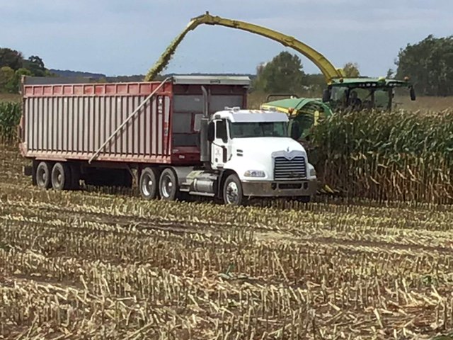 DairylandSeed's tweet photo. #Silage harvest going full speed ahead at Majestic Crossing Dairy near Sheboygan Falls, WI. Harvesting #Dairyland #HiDF-3702-9, yields running at near 30 ton/acre at 65% moisture. Thanks for Dean Strauss and crew your hard work and loyalty! https://t.co/Wb5EGjLeVo