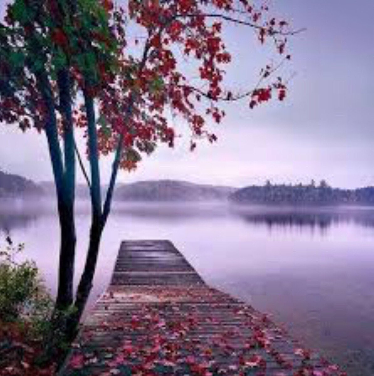 لو نعيش السعاده بالشعور الحزين
ماتموت المحبه … لو يموت الملام

صرت انا وأنت مانشبه سوى الشفتين
نجتمع بالسكوت... و نفترق بالكلام