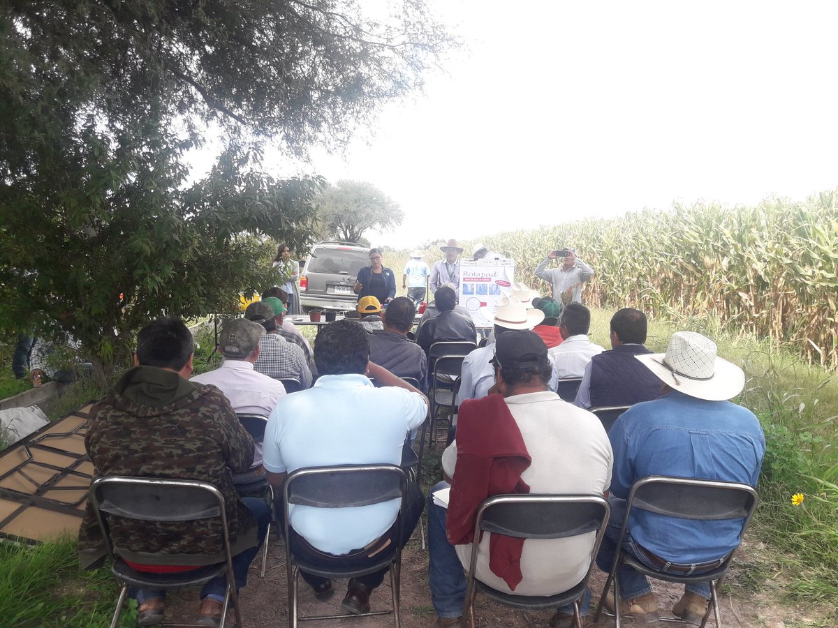 1°Sesión de capacitación Heineken con productores de Querétaro y Guanajuato. Principios y beneficios  de AC en módulo  Noria Nueva, Pedro Escobedo, Qro.  #MasAgro #YosiembroAC