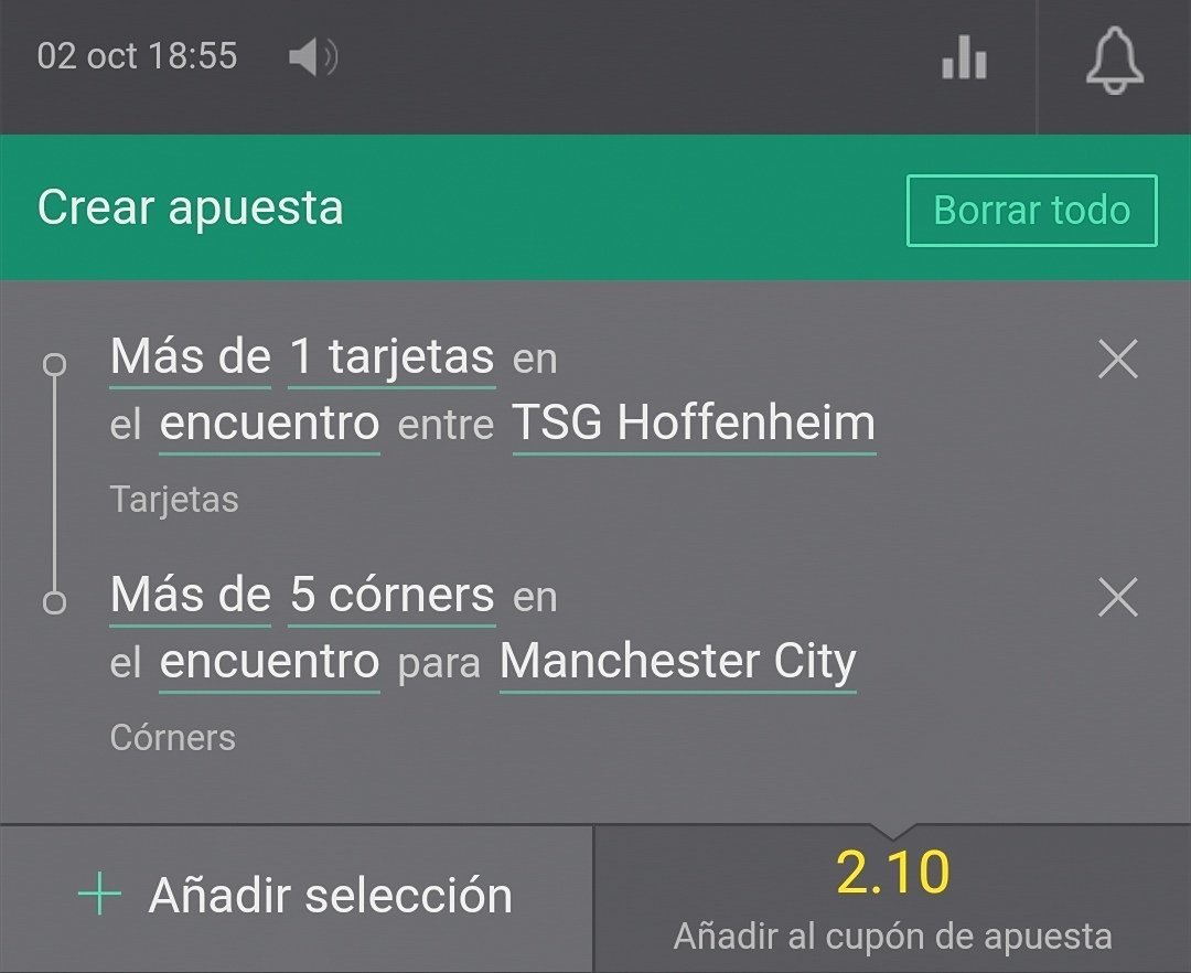Cómo recomendación esta otra apuesta del partido del TSG Hoffenheim-Manchester City. Nos gusta. Y venos posible. De tantos partidos hoy son las dos única apuestas que haremos hoy. Suerte a todos. 💪🏻 🚩 🍀