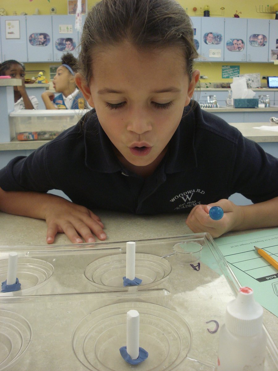 David Rogie tweet media