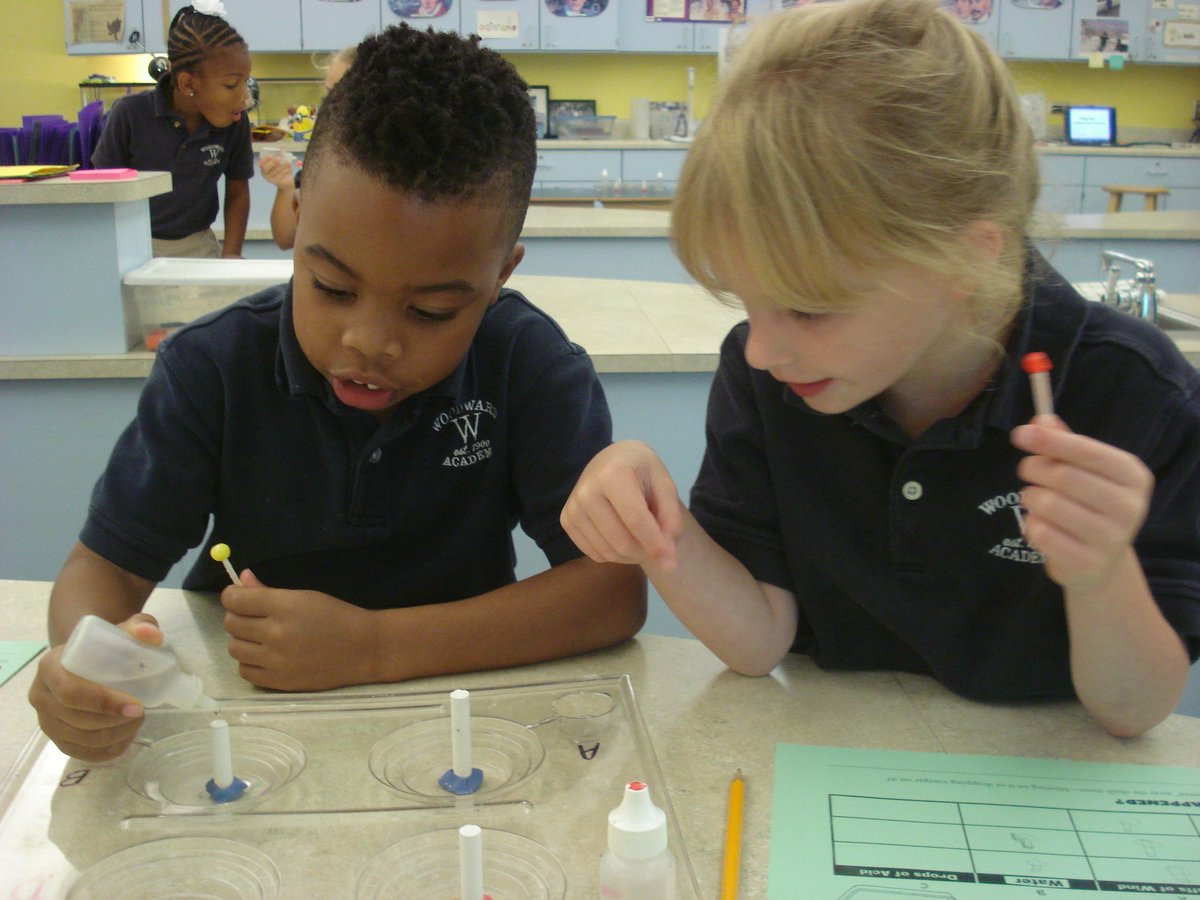 David Rogie tweet media