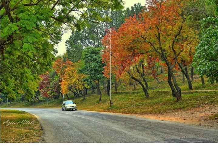 MomeeGul's tweet photo. Disappointed! However not every battle is to be won. Some leave u with lessons 4 future intense battles #embassyroad dualisation-begining of an era of distruction #Islamabad. tried best to undo it through @isl_green now u need to come forward or else loose the sight of this https://t.co/3GUOw3z6bi